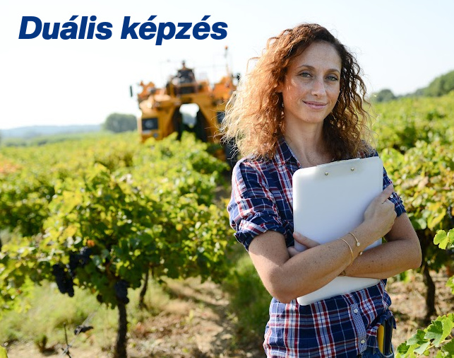 643X506_dualis_kepzes 643X506_dualis_kepzes