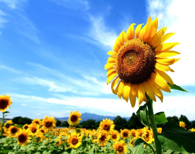 643X506_Kepzesek_felsooktatasi_szakkepzesek 643X506_Kepzesek_felsooktatasi_szakkepzesek