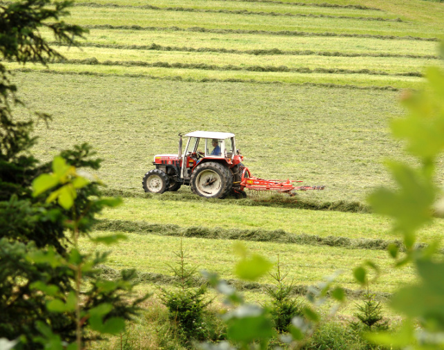 643X506_Kepzesek_msc 643X506_Kepzesek_msc